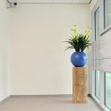 blauwe casacara met yucca bloem  (1 van 1)